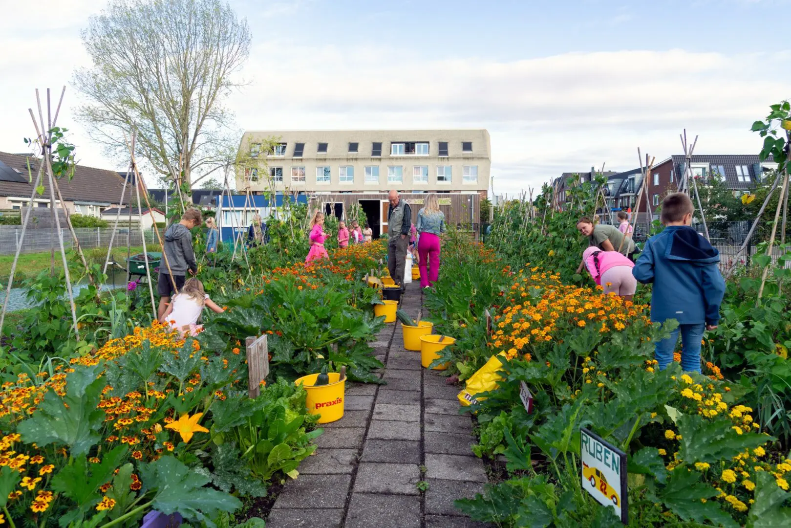 schooltuin zoeterwoude