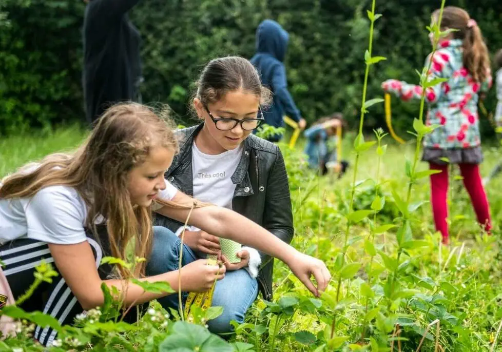 kinderen in het groen