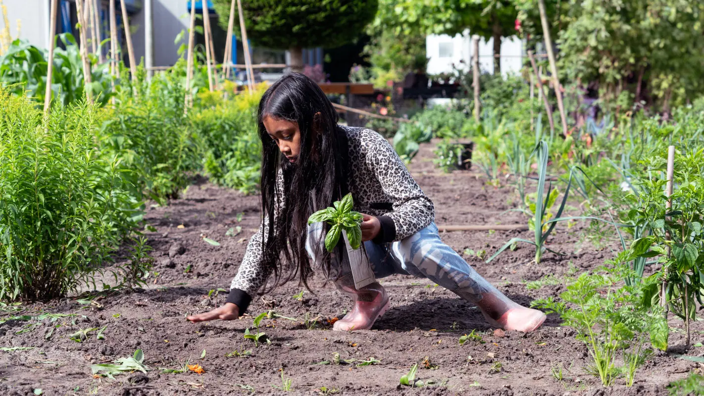meisje met basilicum