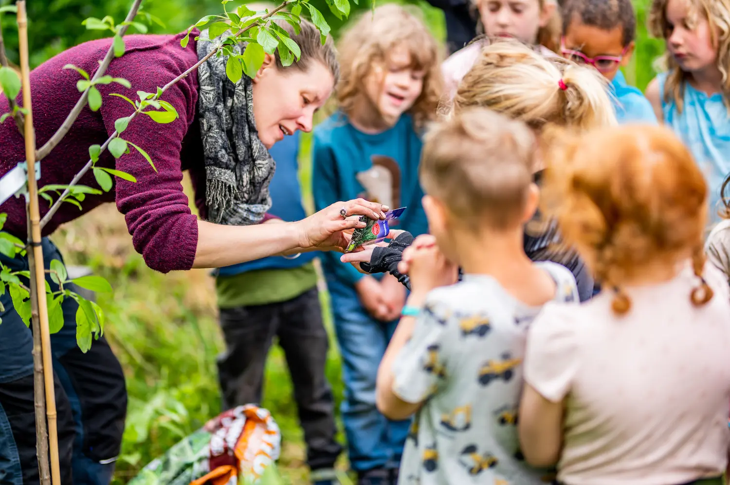 schooltuinjuf deelt zaadjes uit
