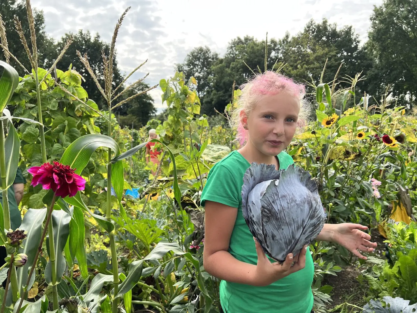 Nieuwsberichten en inspiratie schooltuinieren