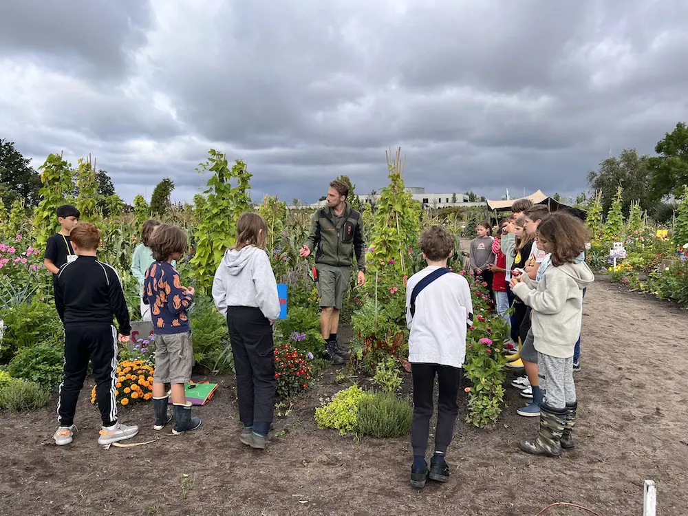 kinderen op de schooltuin amsterdam
