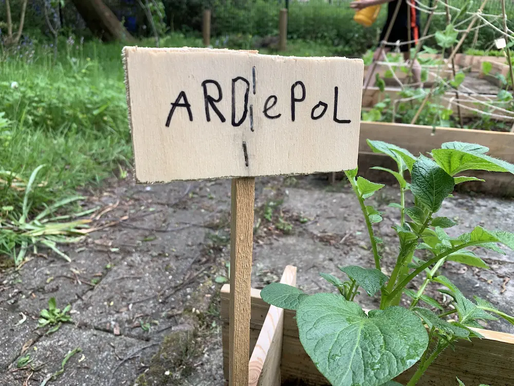 Een houten bord met "ARDepOL" markeert een plant in een tuinbed.