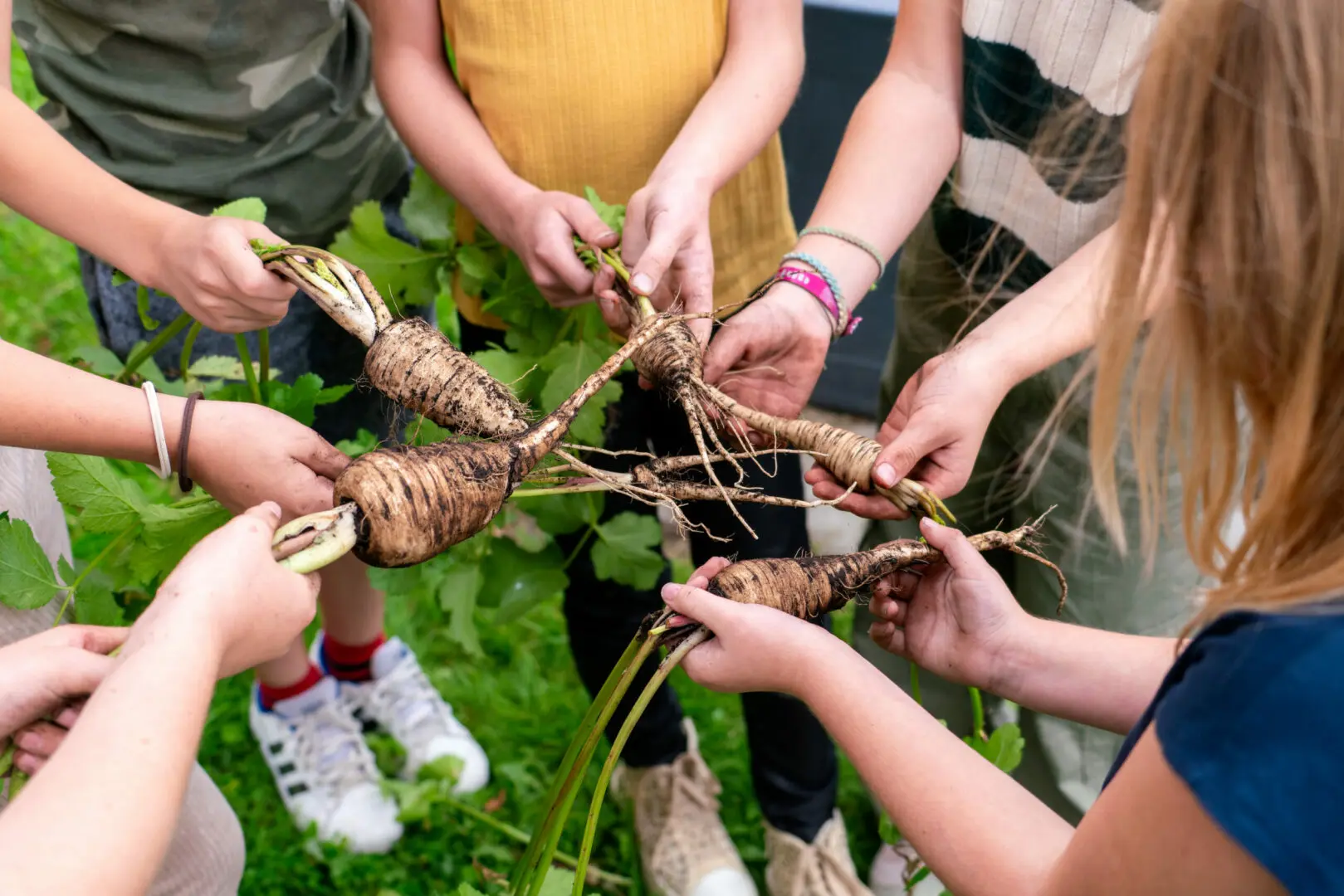 kinderen met pastinaak