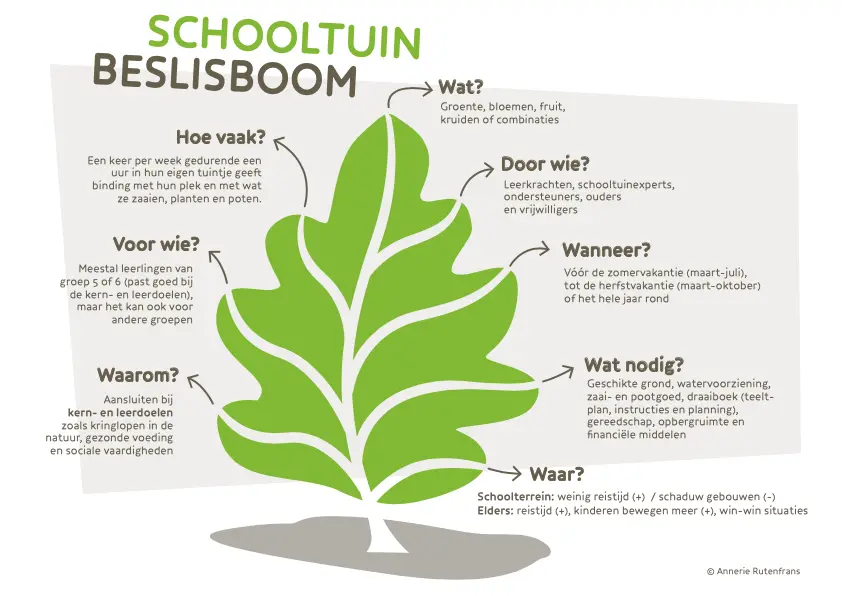 beslisboom jpeg witte achtergrond