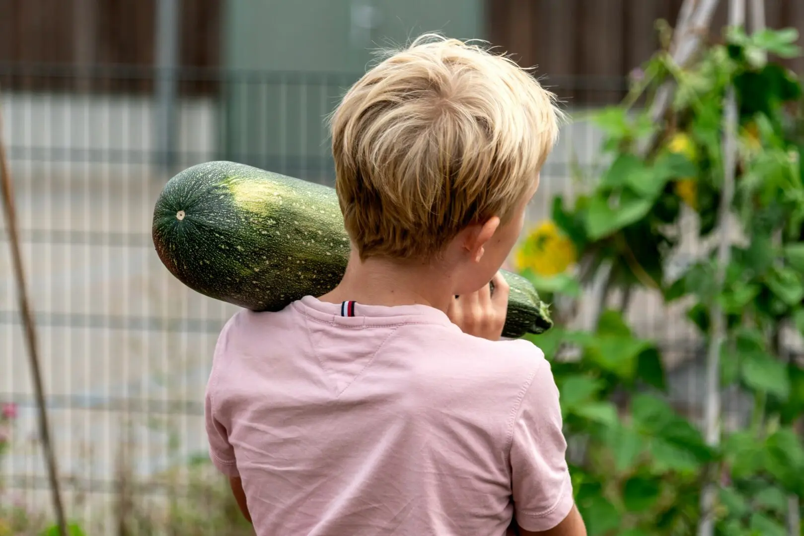 jongen met courgette