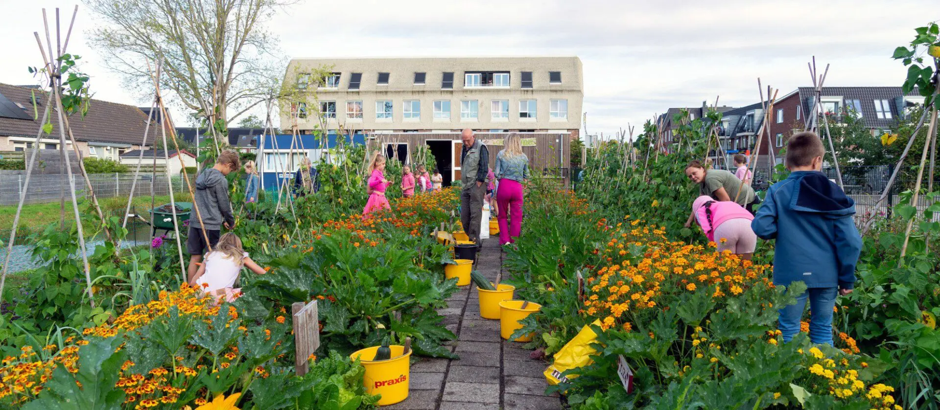 schooltuinen op de kaart