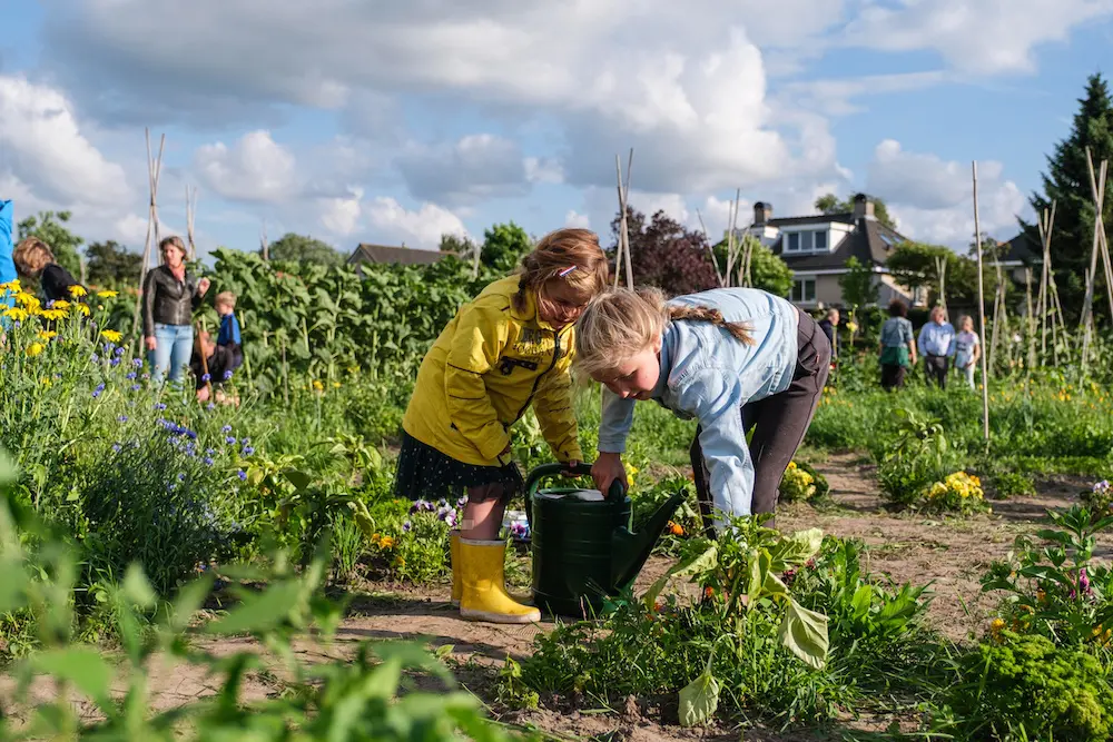 kinderen met gieter in schooltuin zwolle