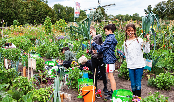 Kinderen in de schooltuin met molen