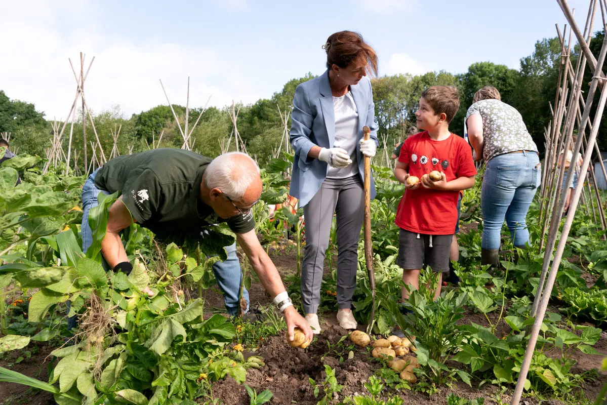 Gedeputeerde praat met jongen en schooltuinmeesterover aardappelen in de schooltuin
