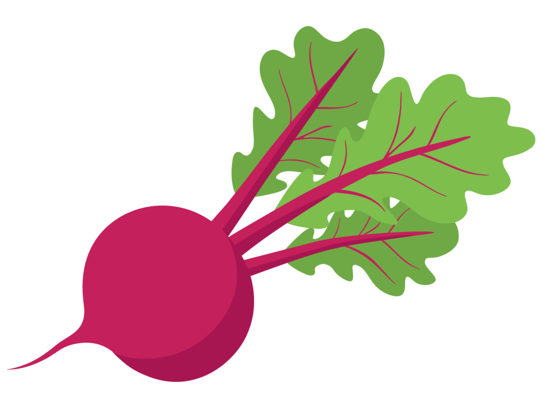 Tekening van een rode biet met groene bladeren.