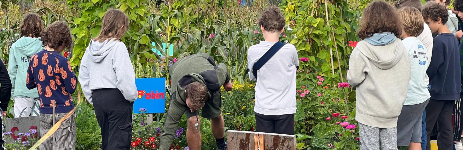 Leerkracht geeft schooltuinles. Kinderen staan met hun rug naar de kijker toe. Op de achtergrond een groene schooltuin.