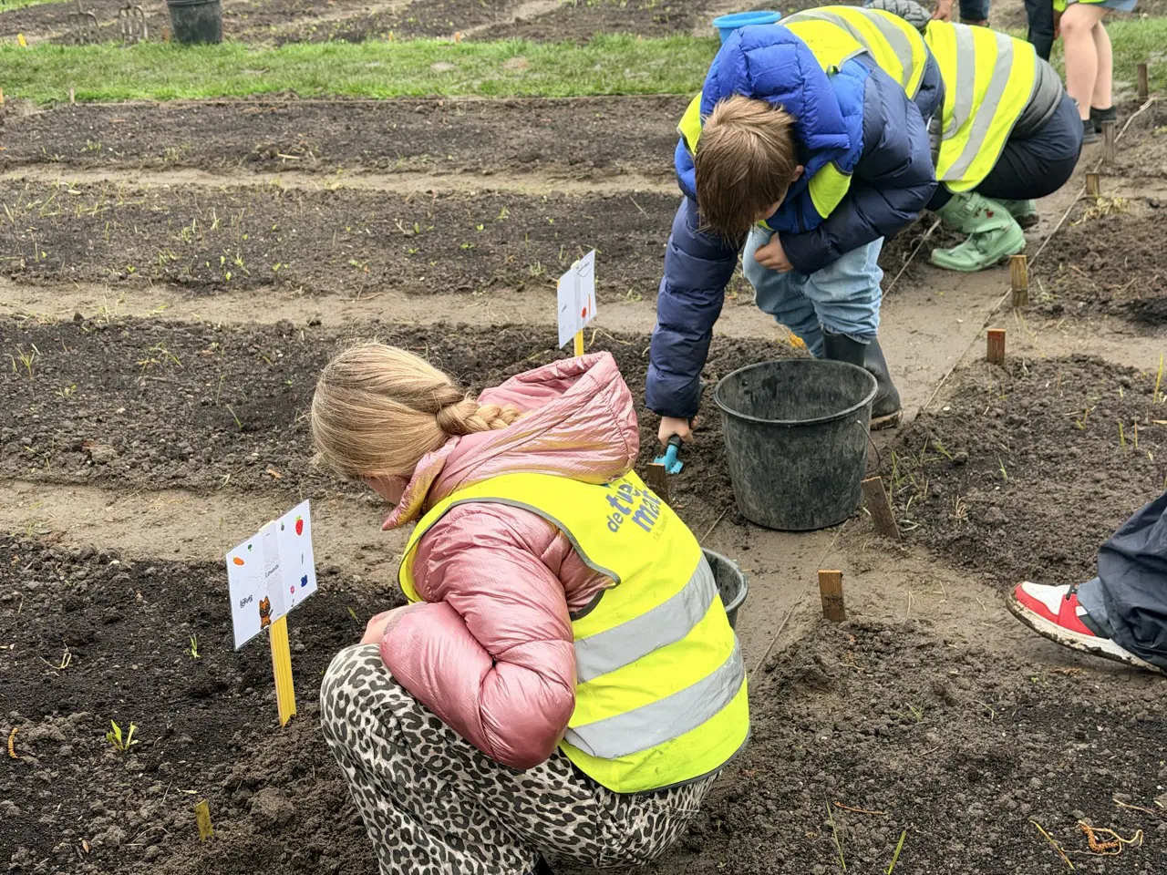 Twee kinderen planten groenten in een tuin, met gele hesjes en focus op het plantenproces.