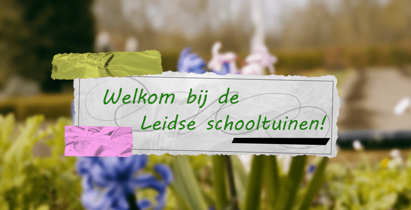 Tekst 