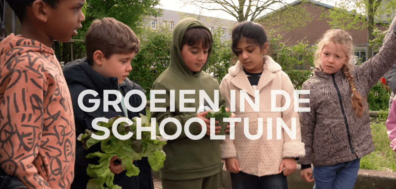 Kinderen bekijken planten in de schooltuin, tekst 