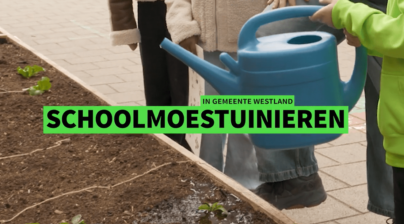 Kinderen gieten water op een schoolmoestuin in gemeente Westland.