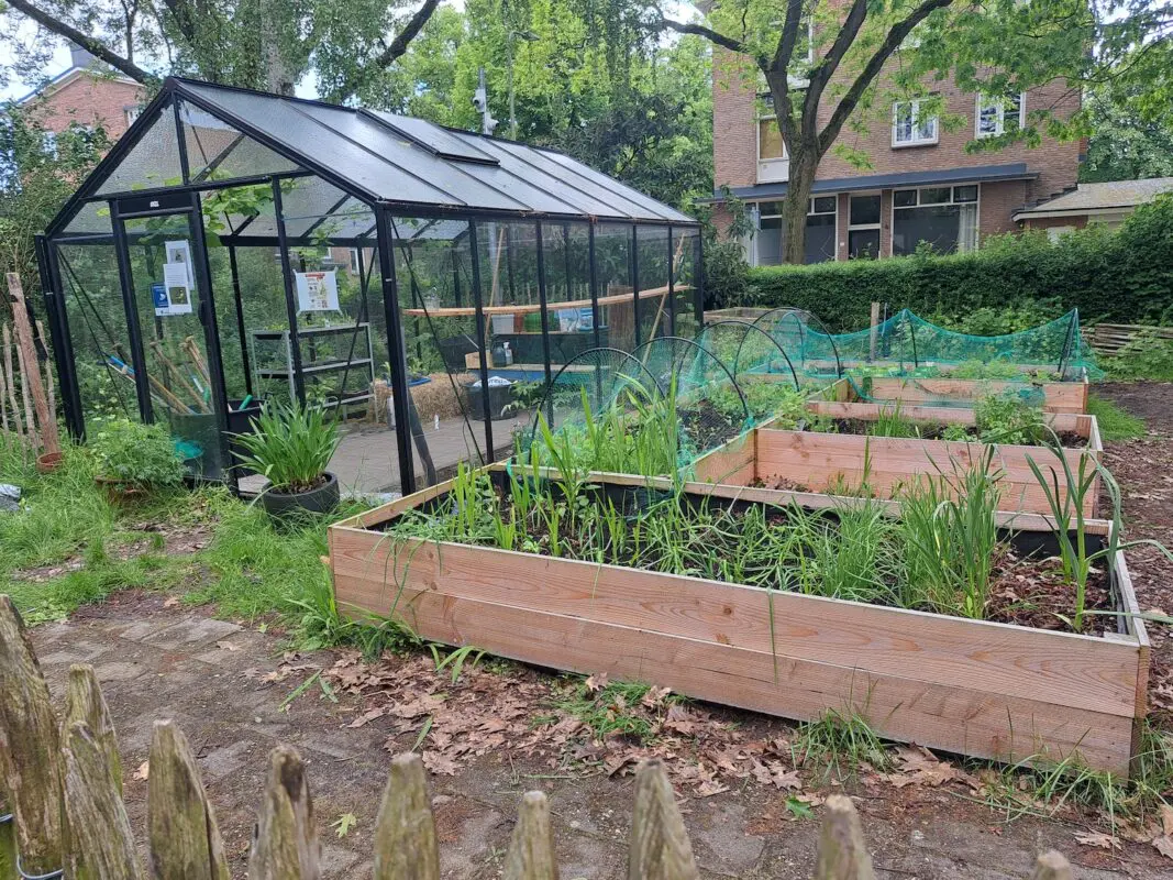 Kas met houten plantenbedden en jonge planten in een tuin, omheind met een hek.